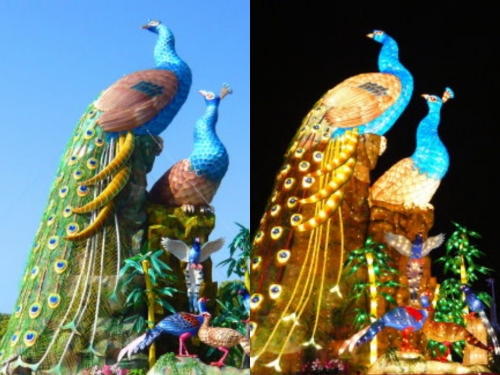 林健兒老師作品