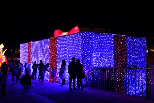 陳佳揚理事長作品